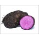 PURPLE YAM